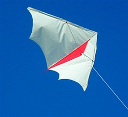 One light diamond kite